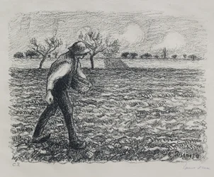 Sämann, 1896